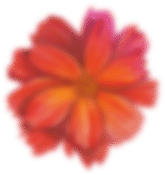 flower.png