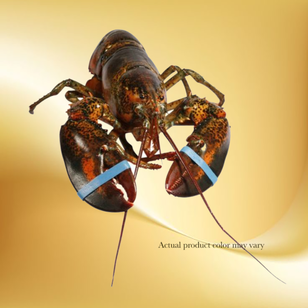 Frozen Lobster
