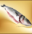 Branzino (Frozen European Sea Bass)